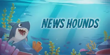 News Hounds