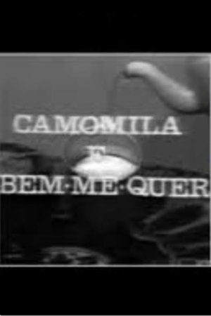 Camomila e Bem-Me-Quer