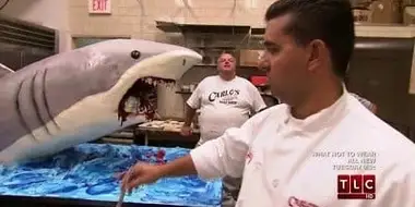 Shark Cake, Scooter & Smelly Fish