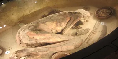 I tesori del Museo Egizio di Torino (seconda versione)