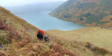 The Hanging Tree: Afognak Island Elk