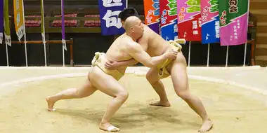 Sumo