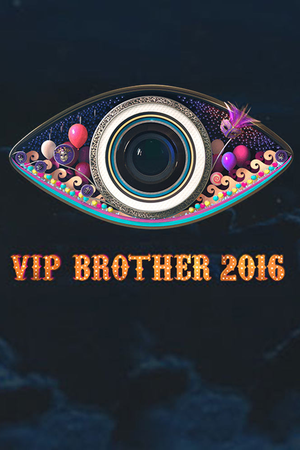 VIP Brother 2016