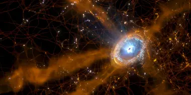 Secrets of the Cosmic Web