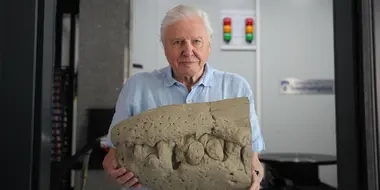 Attenborough and the Jurassic Sea Monster