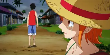 Episode of Nami: Tears of a Navigator and the Bonds of Friends