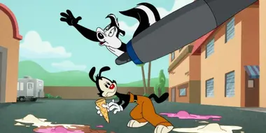 Yakko Amakko