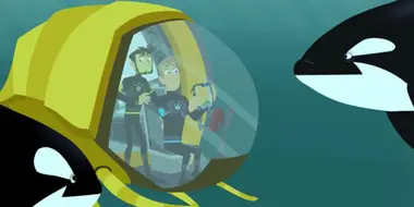 This Orca Likes Sharks