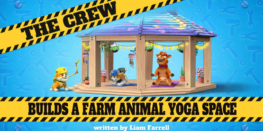 The Crew Builds a Farm Animal Yoga Space