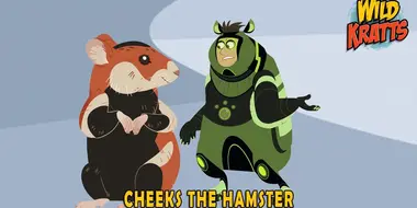 Cheeks The Hamster