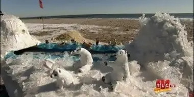 Peppermint & a Polar Bear Plunge