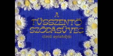 Tüsszentő szódásüveg