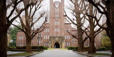 Stories from The University of Tokyo