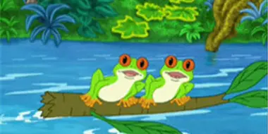 Rescue the Red-Eyed Tree Frogs!