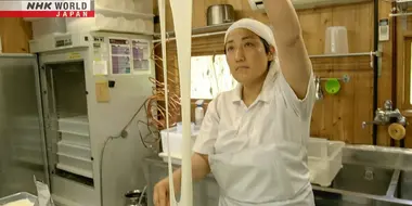 Japanese Cheese Trailblazer - Shibata Chiyo