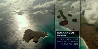 Galapagos