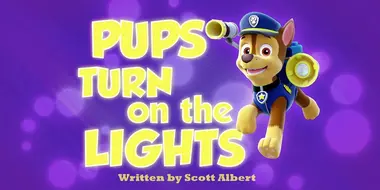 Pups Turn On the Lights