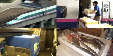 Shinkansen Freight: Carrying On Post Pandemic