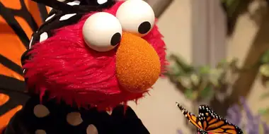 Elmo's Butterfly Friend