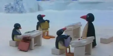 Pingu At School