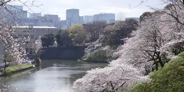 Keyword: Chidorigafuchi