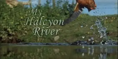 My Halcyon River