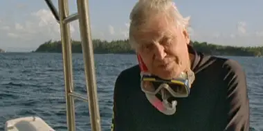 Song of the Earth with David Attenborough