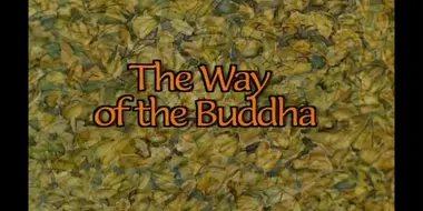 The Way of the Buddha