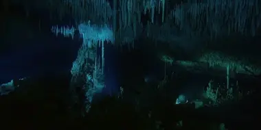 Secrets of the Maya Underworld