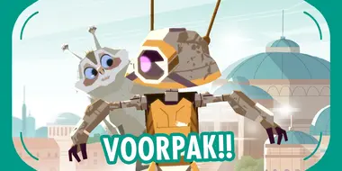 Voorpak