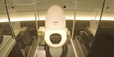 Electronic Bidet Toilets