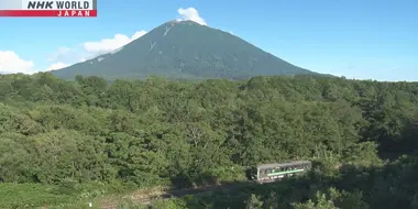 The Summer Breezes of Southern Hokkaido