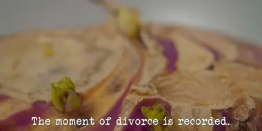 The Moment of Divorce Is Recorded