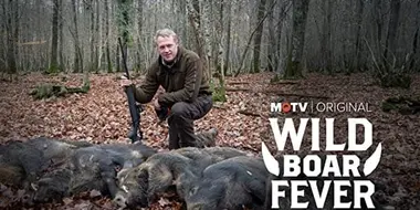 Wild Boar Fever 2