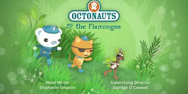 Octonauts and the Bomber Worms