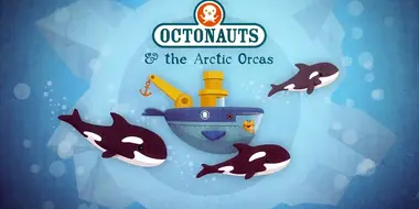 The Arctic Orcas