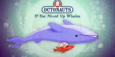 The Mixed-Up Whales