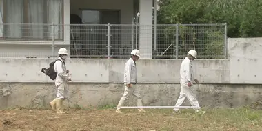 Bomb Disposal Quest in Okinawa