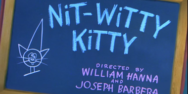 Nit-Witty Kitty