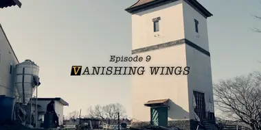 VANISHING WINGS