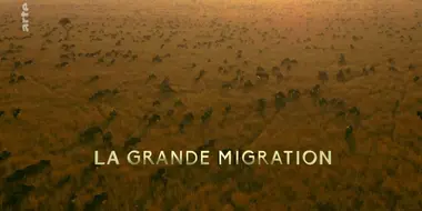 The Great Migration