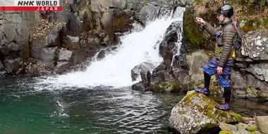 Fly-Fishing in a Secluded Mountain Stream in Jozankei