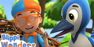 Blippi Learns How To Build A Birds Nest!