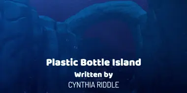 Plastic Bottle Island