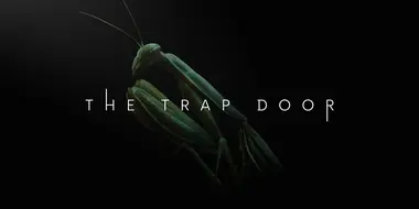 The Trap Door