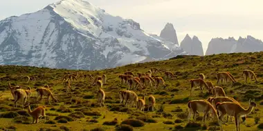 From Chile to Patagonia