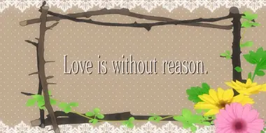 Love is Without Reason.