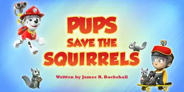 Pups Save the Squirrels
