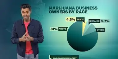 The Legal Marijuana Industry Is Rigged