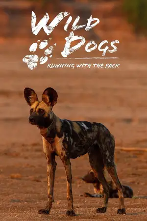 Wild Dogs: Running with the Pack